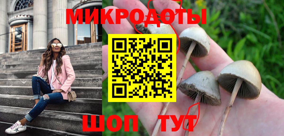 Псилоцибиновые грибы ЛСД  Вход с VPN  Псилоцибиновые грибы MAGIC MUSHROOMS  Губкинский 